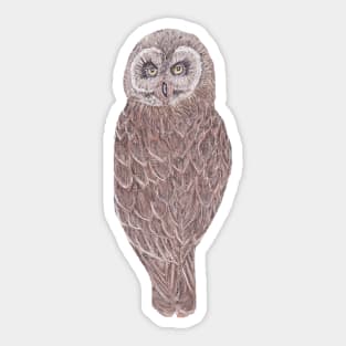 Owl Be Seeing You Sticker